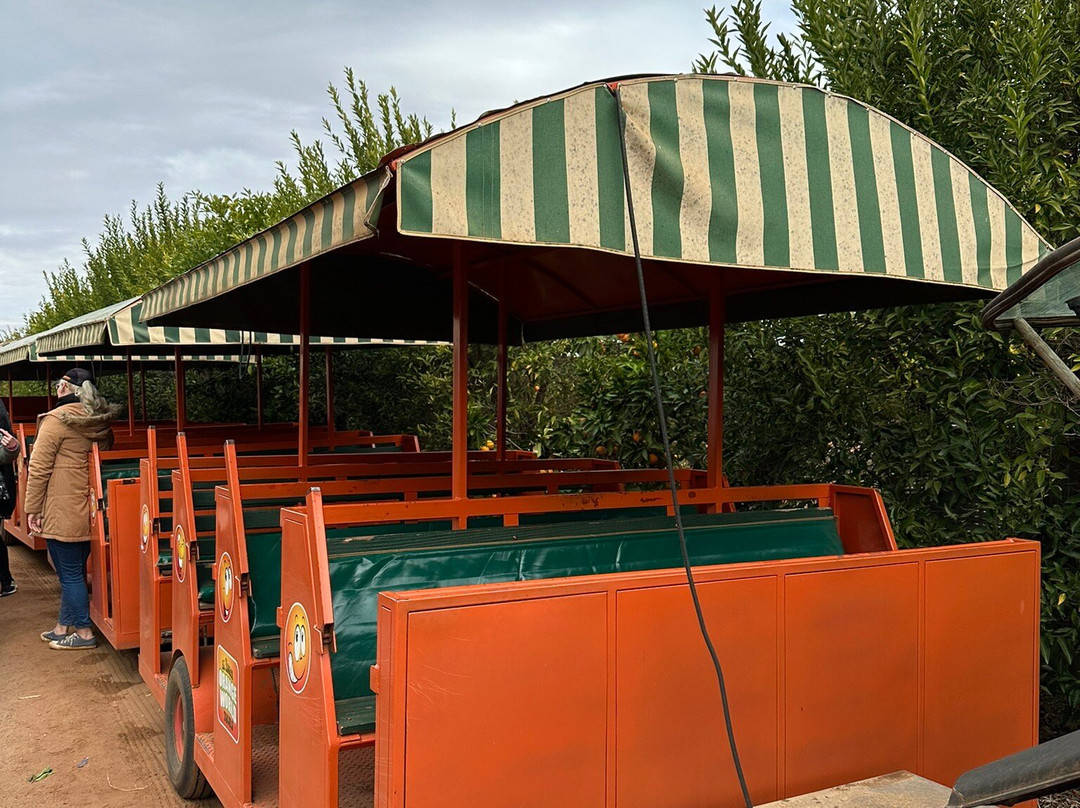 Orange World-Buronga必去景点