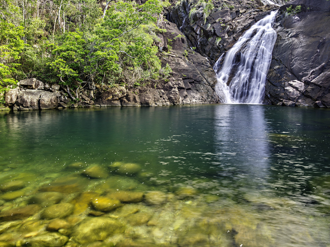 Hinchinbrook Island Tours