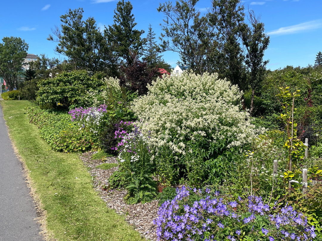 Hljómskálagarður Park-雷克雅未克必去景点
