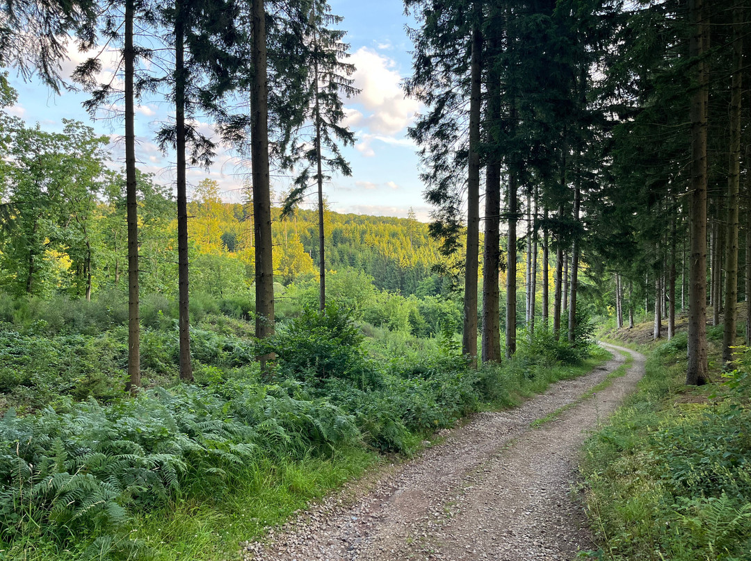 维赫特乡村酒店主图