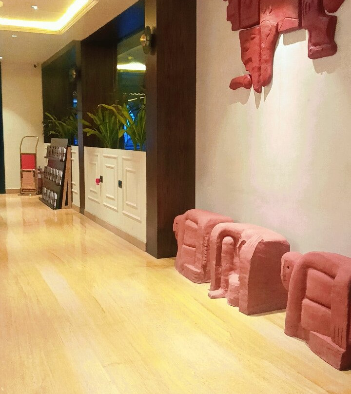 Playsales Naori Udaipur