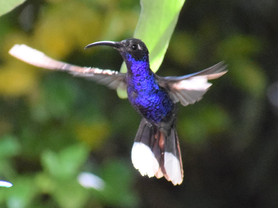 Hotel Boutique La Gloria