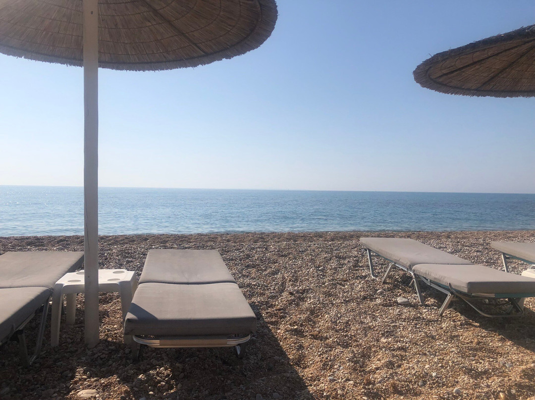 Eleana Studios主图