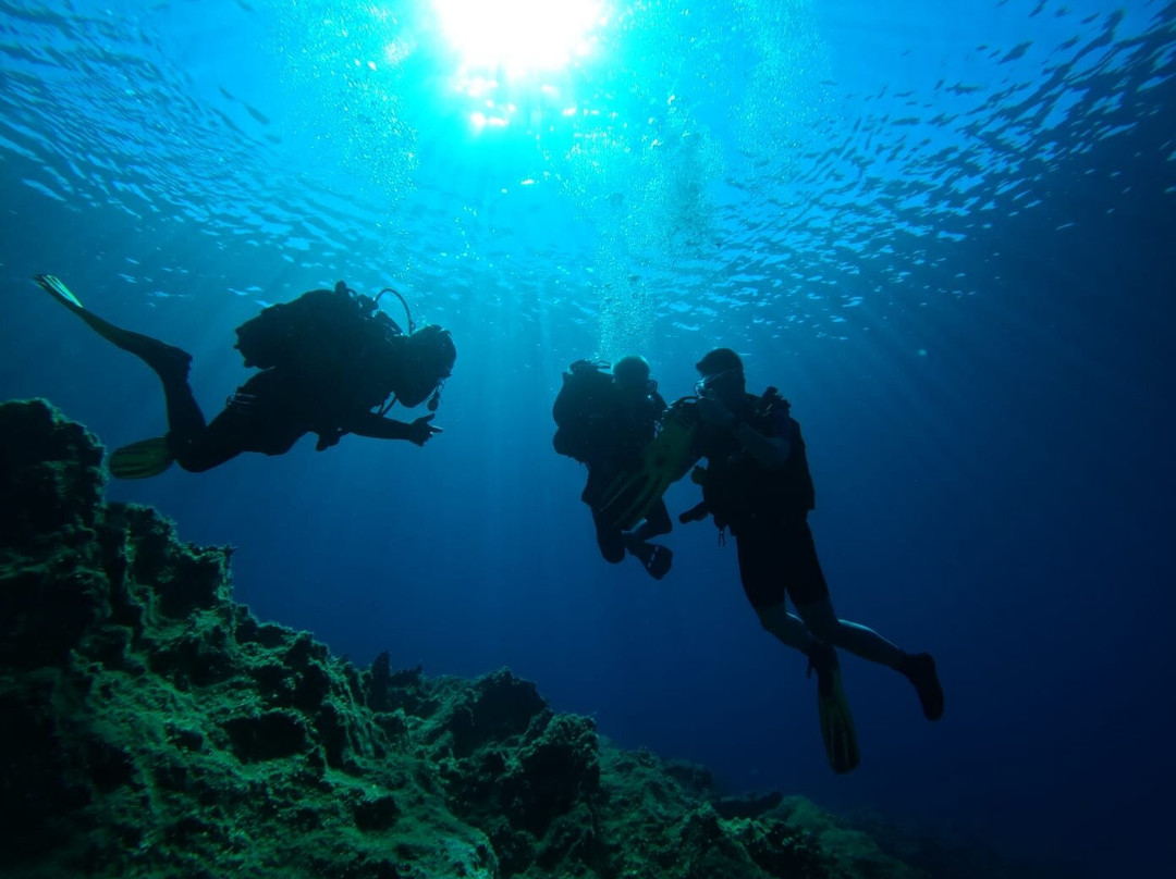 Salt Water Divers-埃尔穆波利必去景点