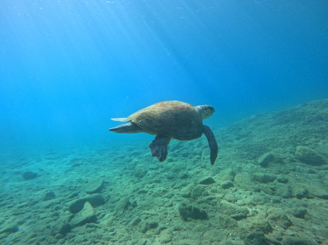 PADI 5 Star Dive Center Crete-Sitia必去景点