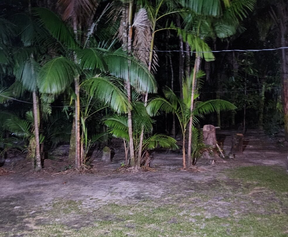 UTRAN Unidade de Turismo Rural Acai Nativo-Salvaterra必去景点