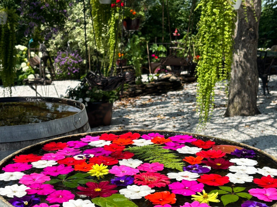 Domaine des Côtes d'Ardoise-Dunham必去景点