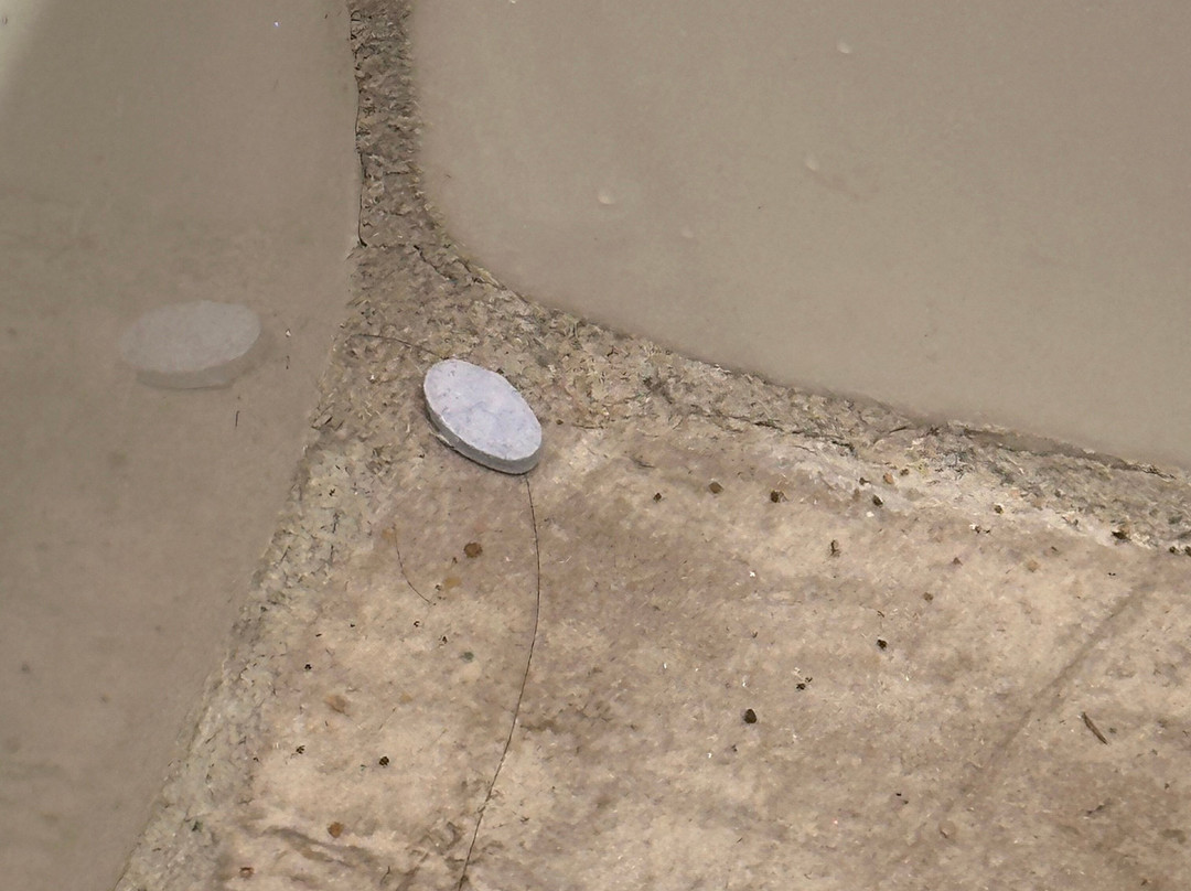 Landmark Inn Marquette主图