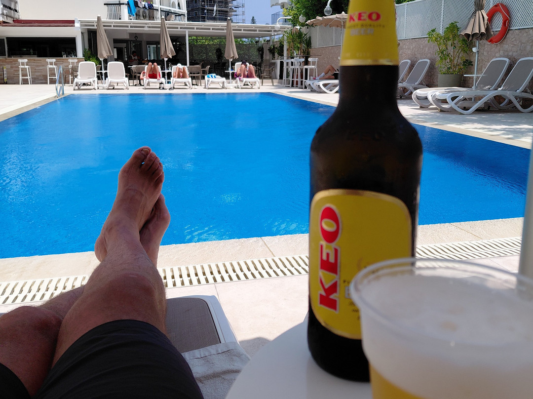 仙人掌酒店主图