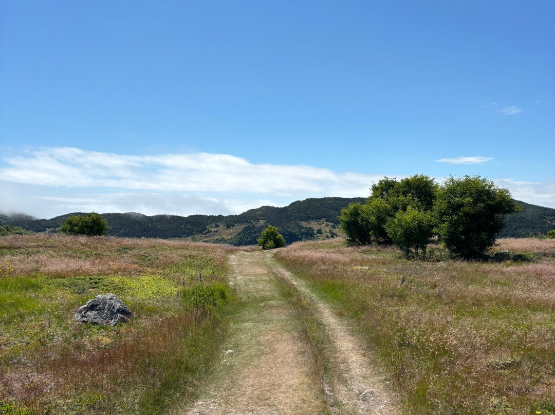 Gun Hill Trail-Trinity必去景点