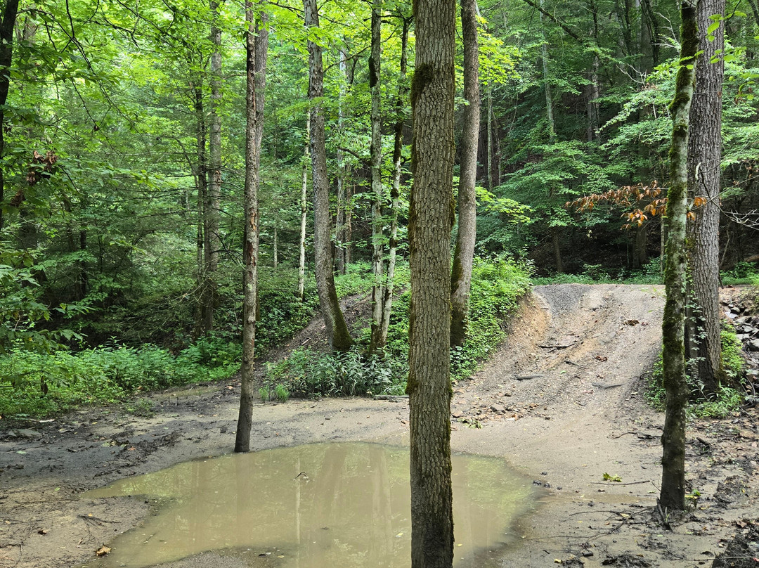 Out the Top Adventures-Campton必去景点