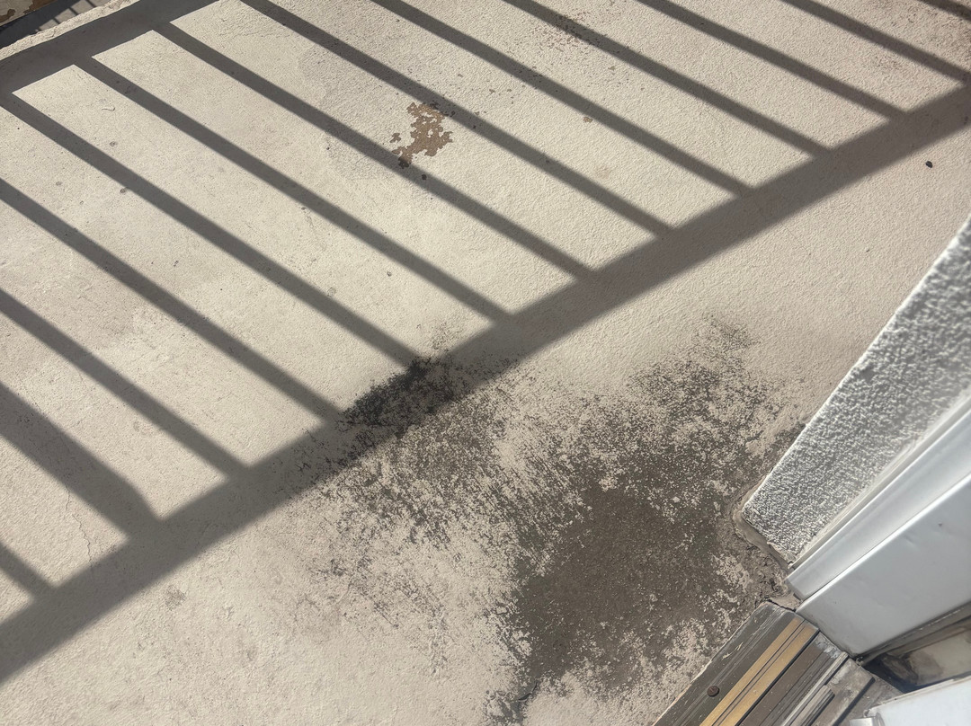 Drury Inn & Suites McAllen主图