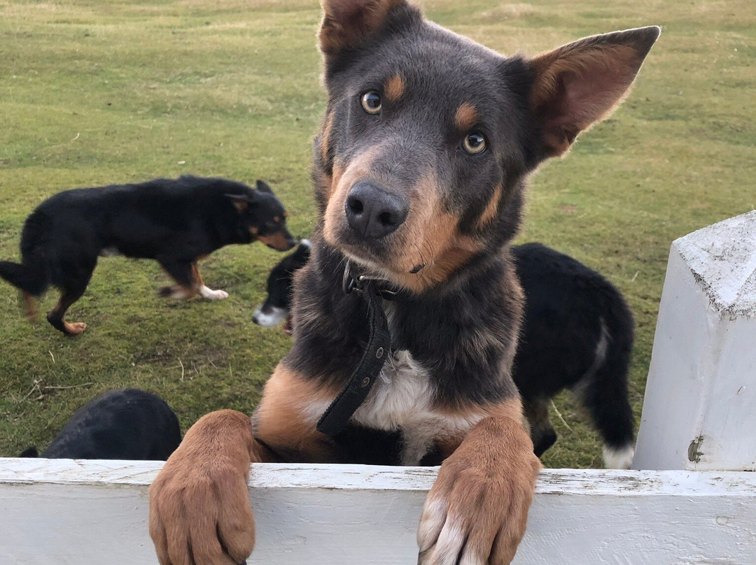 Fitzroy Farm-Darwin必去景点