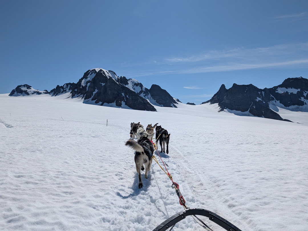 Alaska Helicopter Tours-帕尔默必去景点