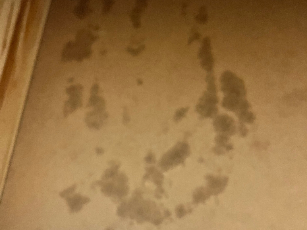 雅诗阁酒店主图