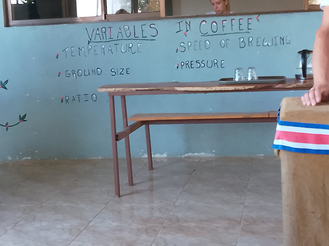 TIO JOSE COFFEE TOUR-葛雷西亚必去景点