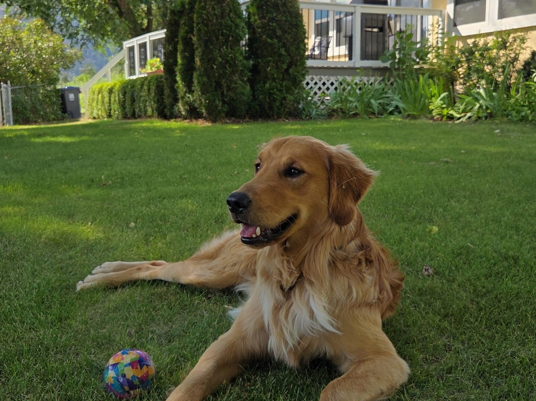 River Stone Estate Winery-Oliver必去景点