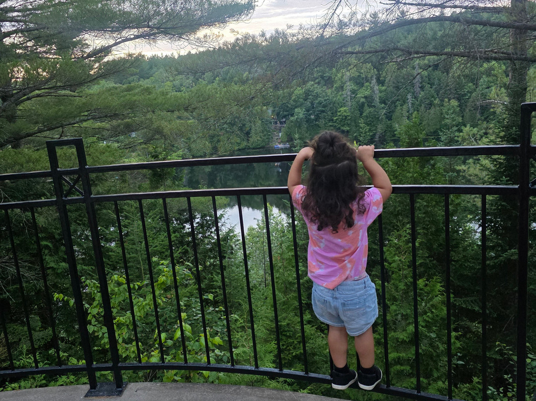 Auberge sur la Falaise主图