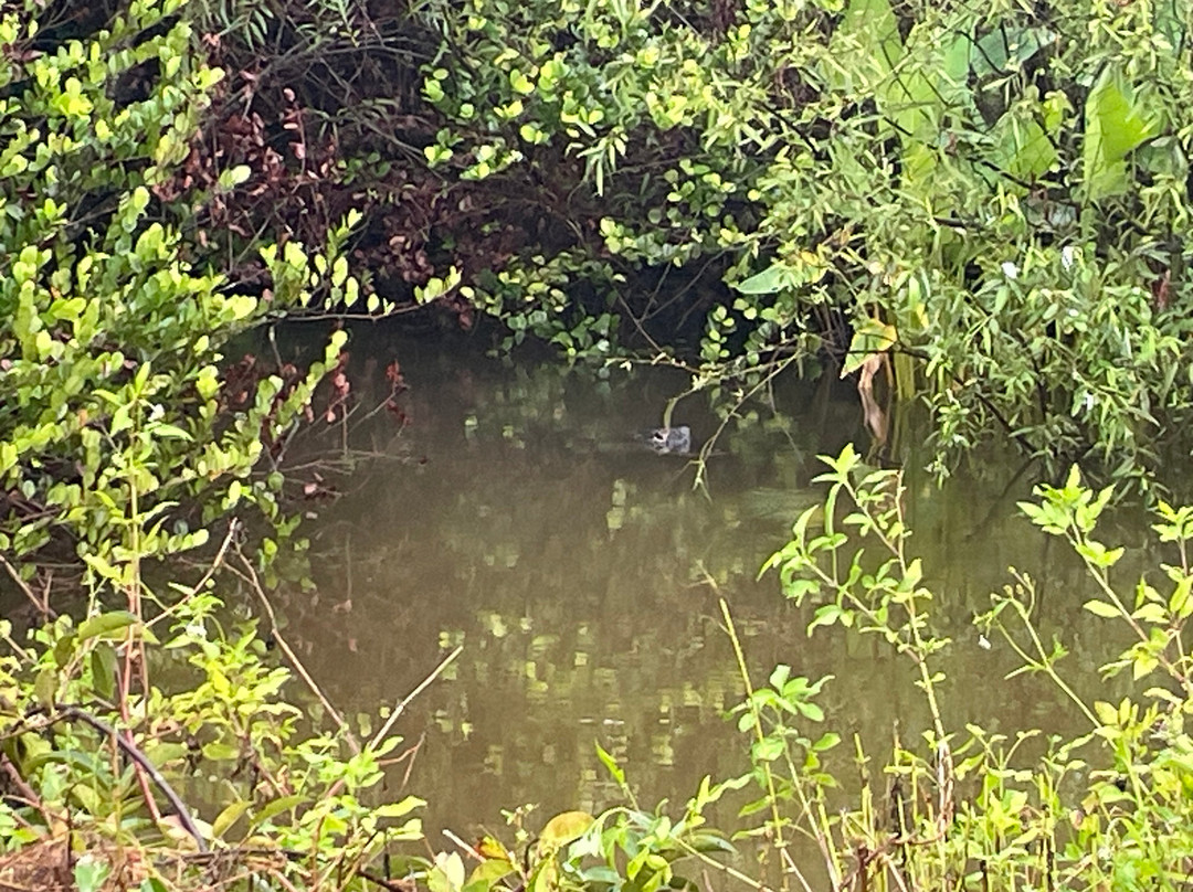 Loop Road-奥乔皮必去景点