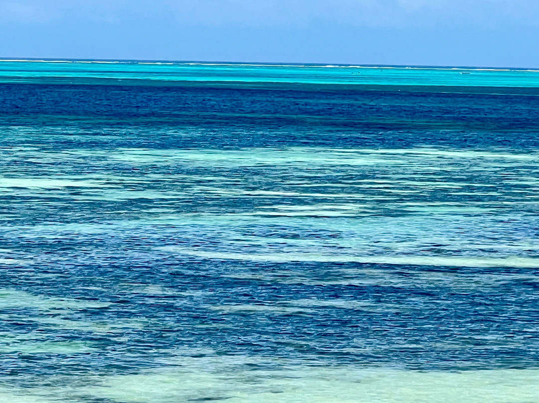 Coconuts Kite Zanzibar-江比阿尼必去景点