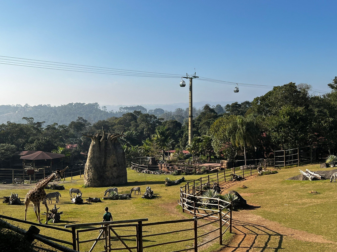 Animália Park-Cotia必去景点
