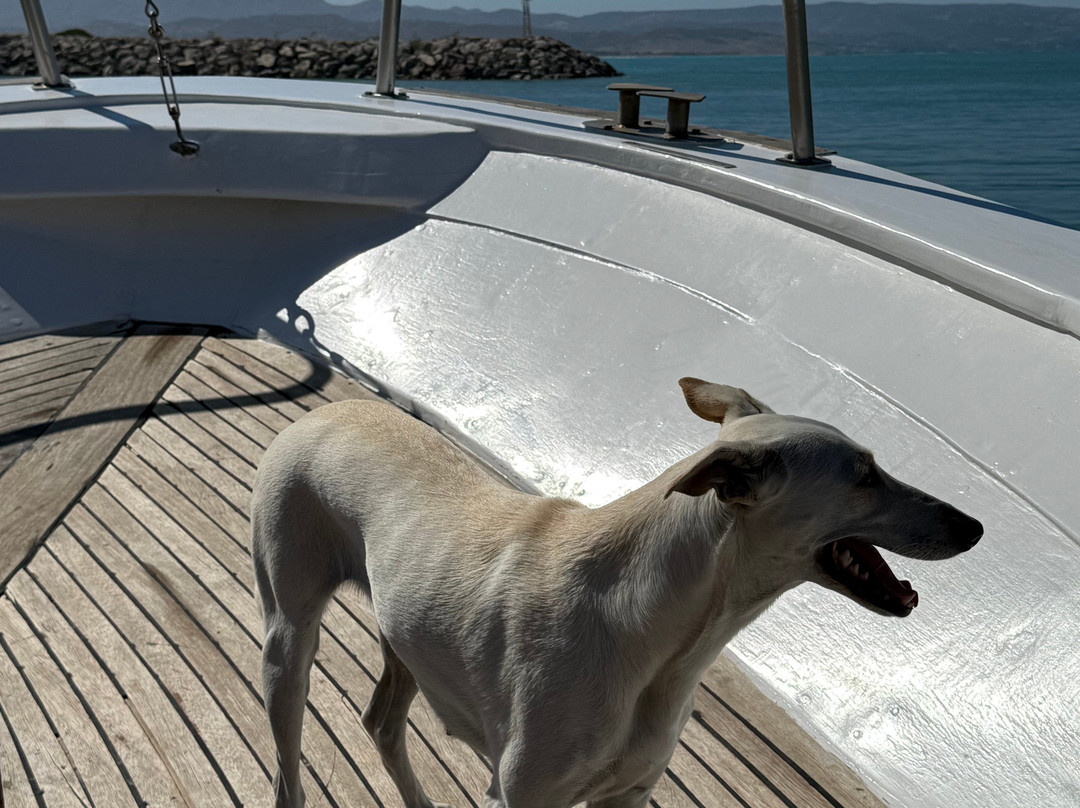 Mare Sud Diving Center-Kokkinos Pirgos必去景点