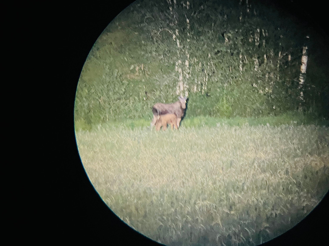 Nordic Discovery-Kloten必去景点