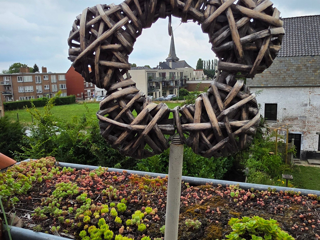 O Chocolat Cho主图