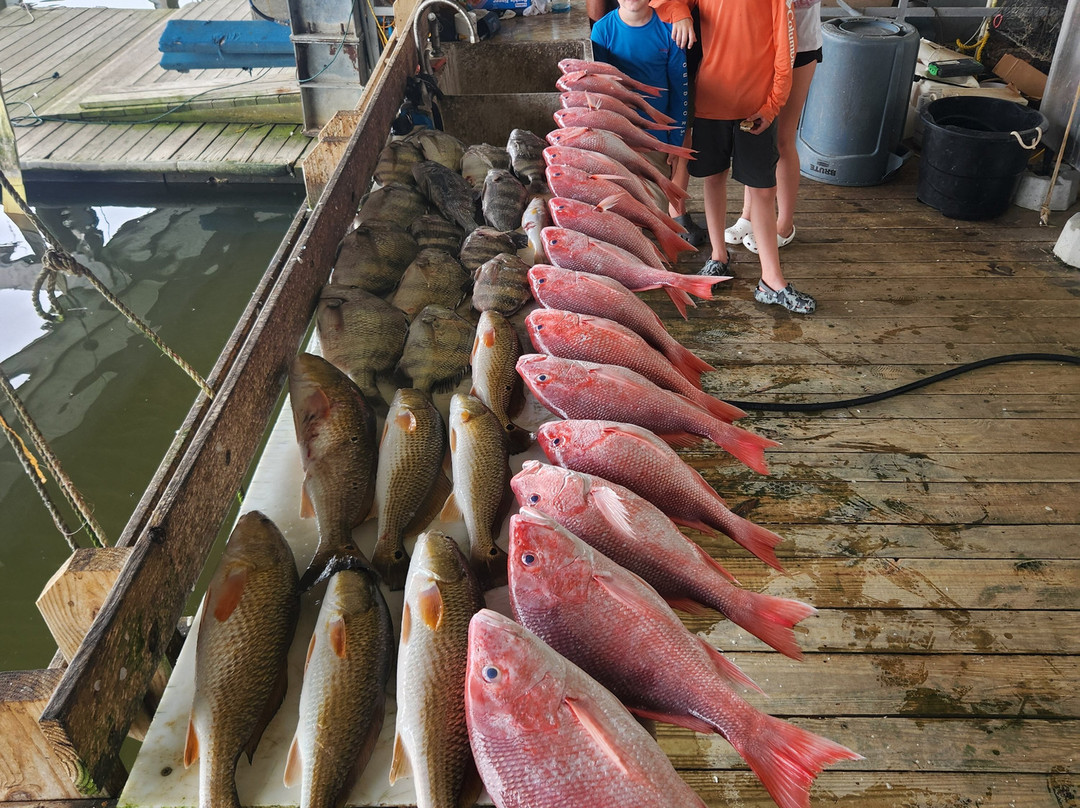 Southern Access Charters-Venice必去景点