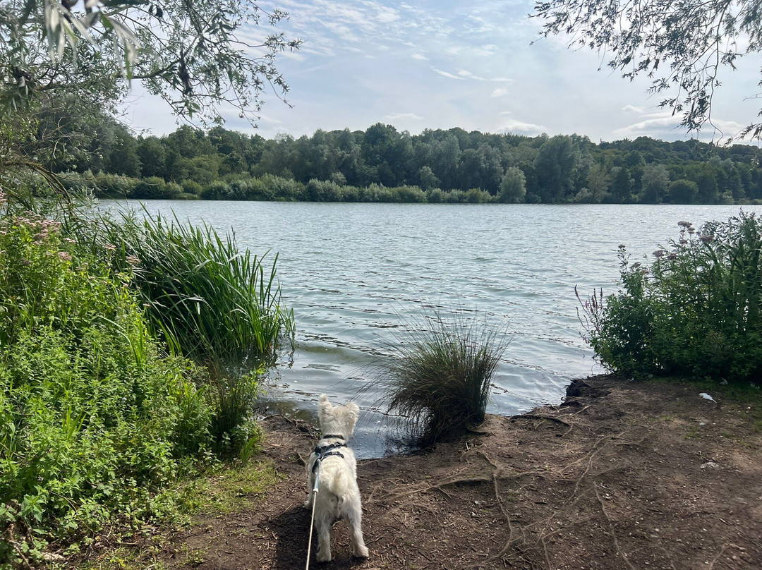 Whitlingham Country Park-诺威奇必去景点