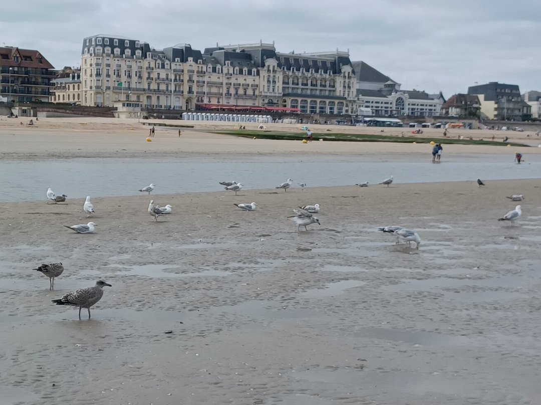 Plage de Cabourg-卡布尔必去景点