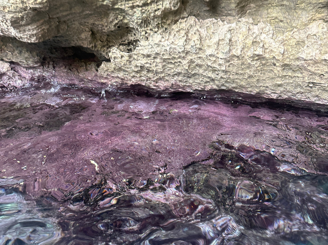 Sa Barca de Formentera-拉萨维纳必去景点