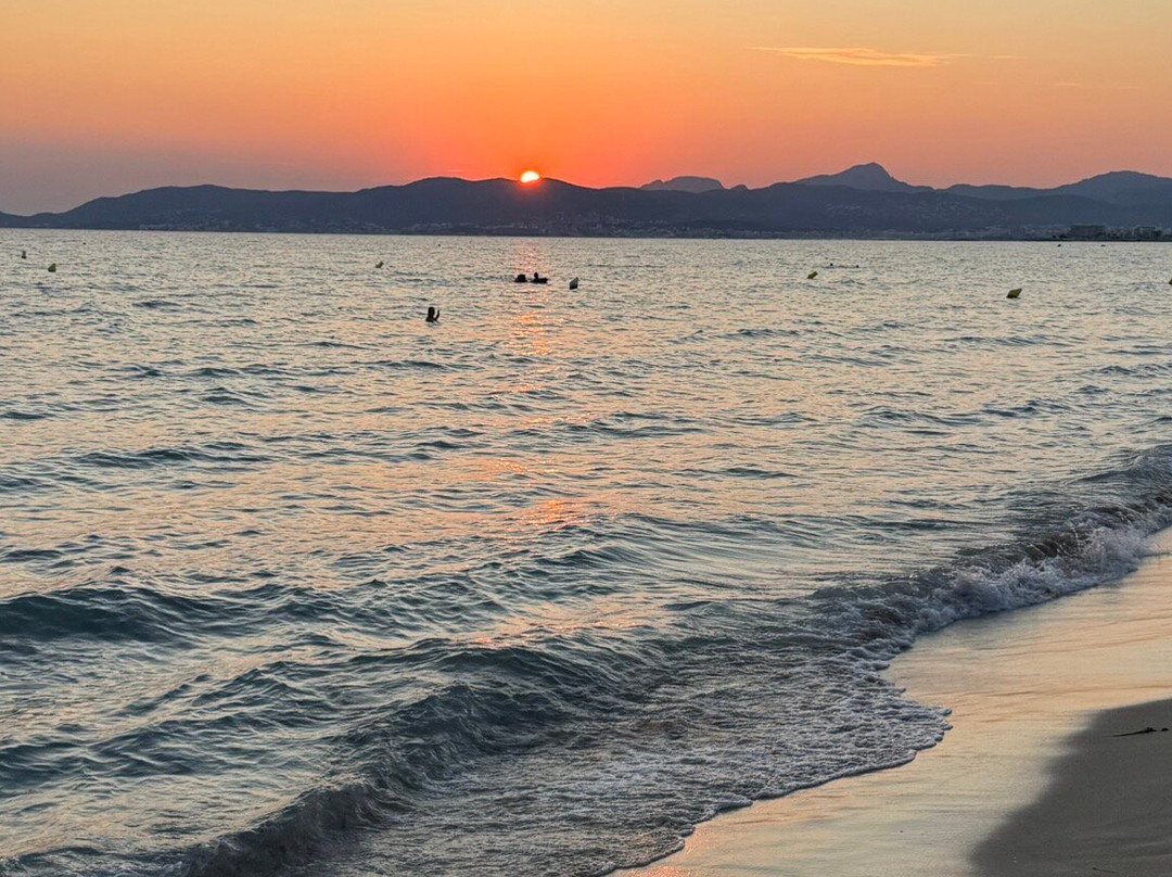 Platja de Palma-马洛卡帕尔马必去景点