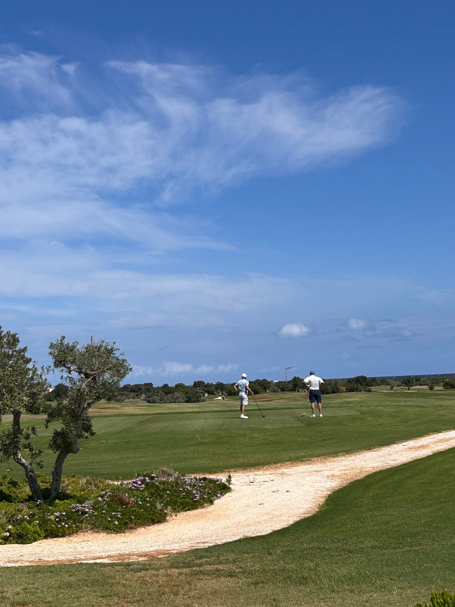 Masseria San Domenico-官方