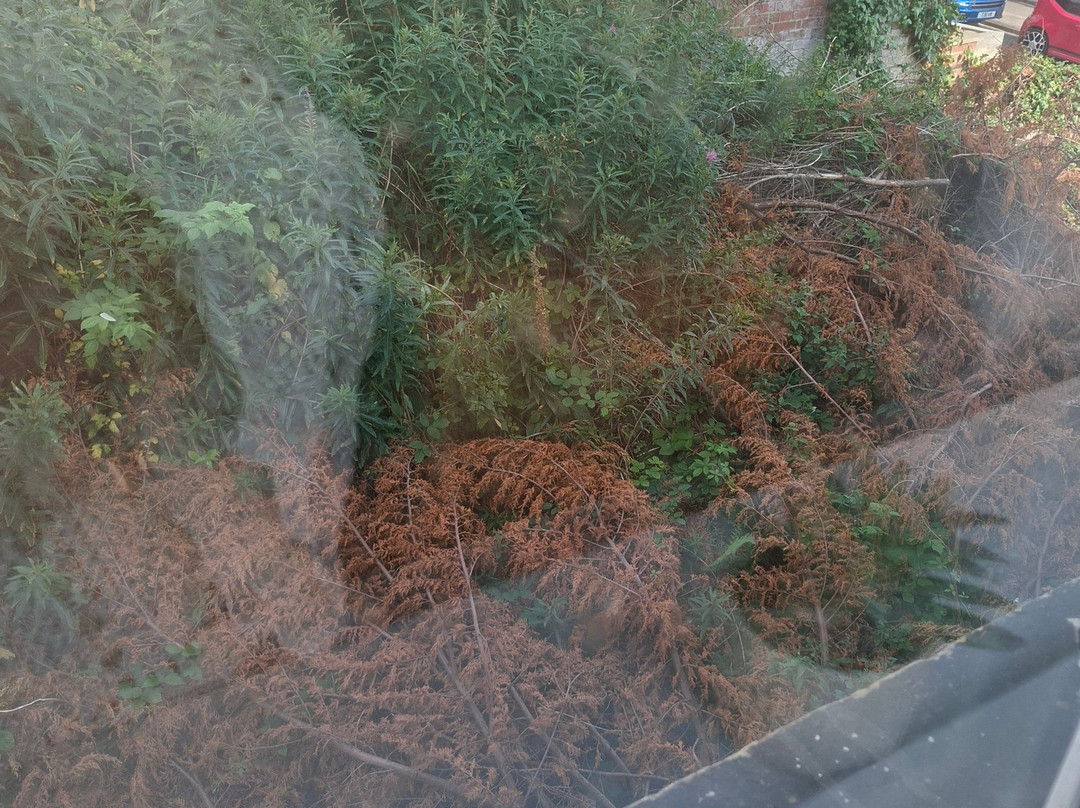 Beamish Mary Inn主图