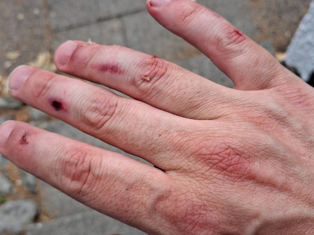 湖区丛林穿越-温德米尔必去景点