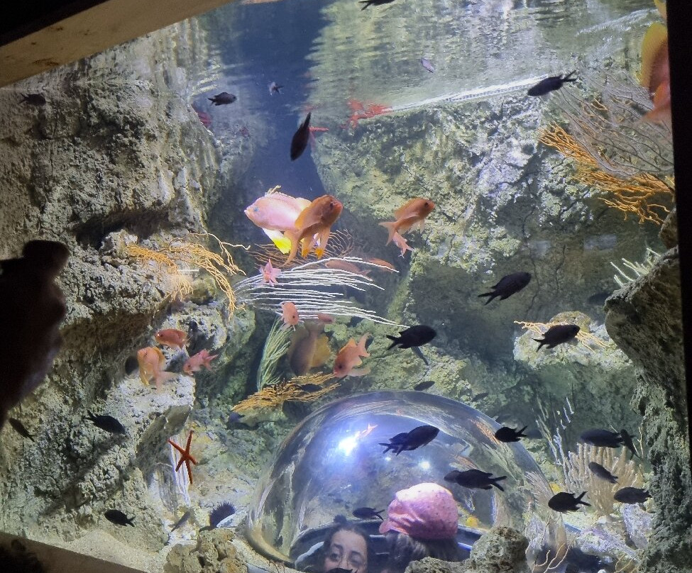 Aquarium de Vendée-Talmont Saint Hilaire必去景点