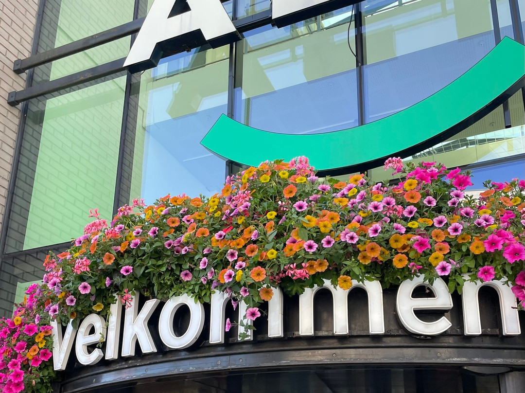 Alti Arendal-Arendal必去景点