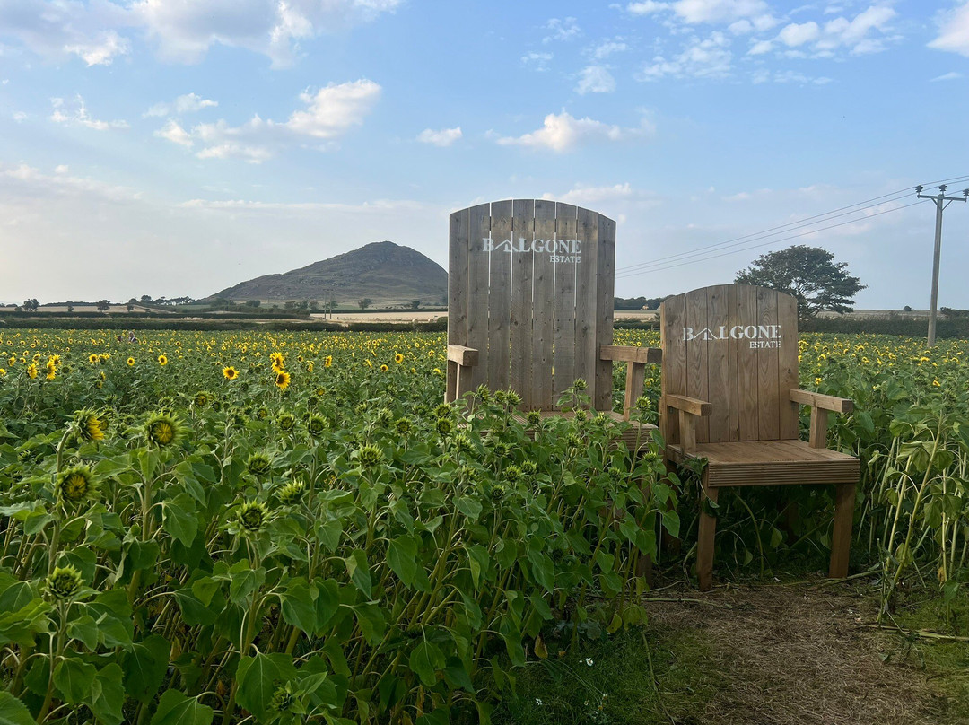 Balgone Estate-北柏威克必去景点