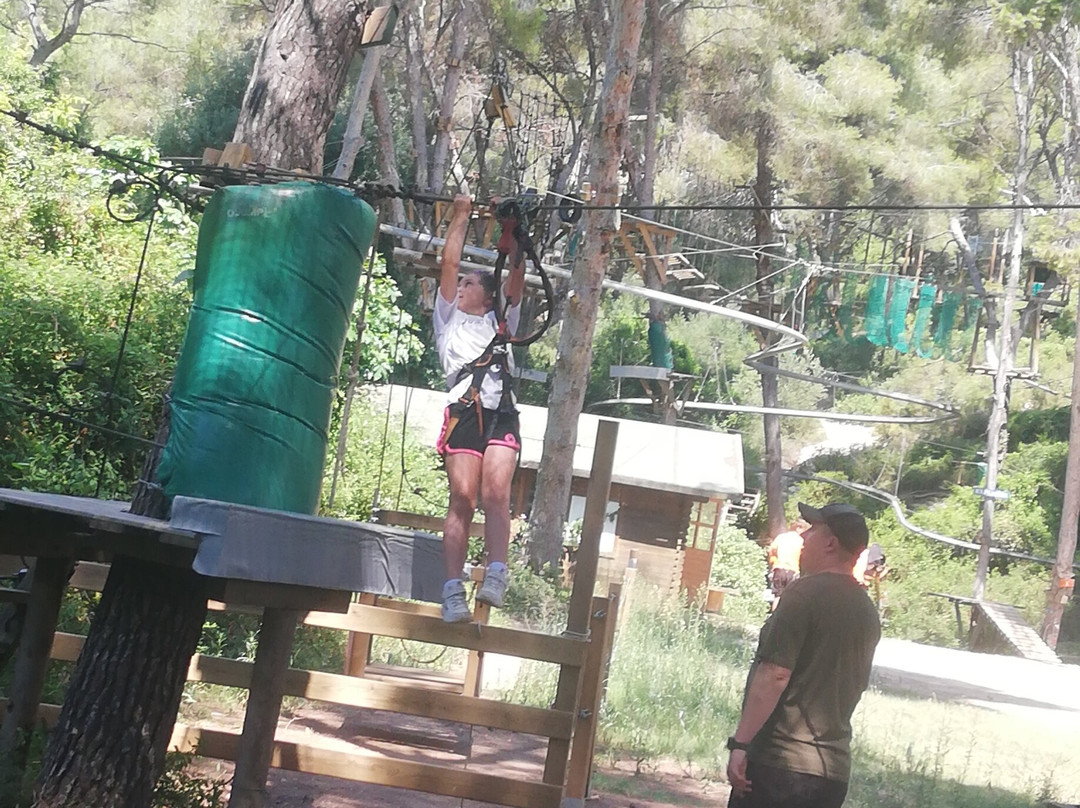 Jungle Trek-塔拉戈纳必去景点