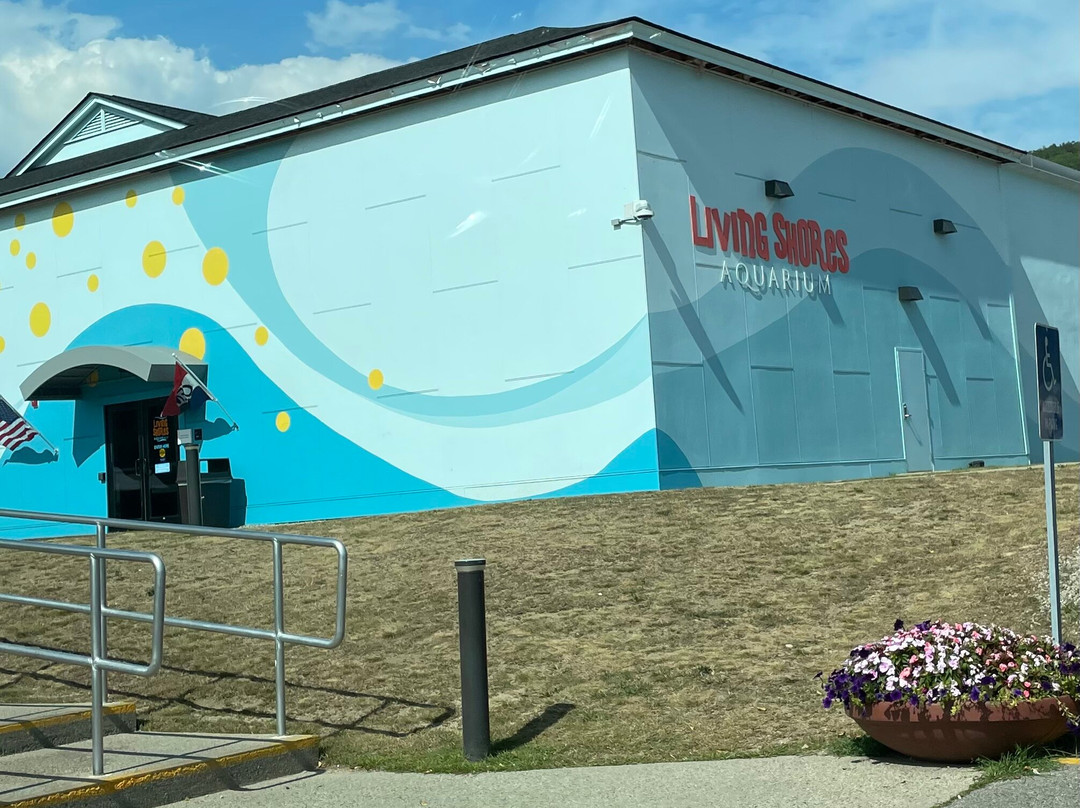 Living Shores Aquarium-Glen必去景点