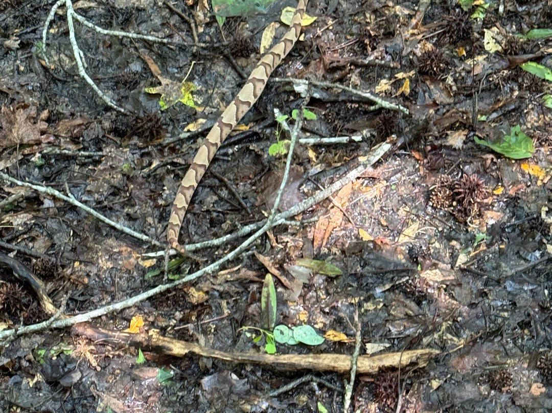 Colonel Francis Beatty Park-马修斯必去景点