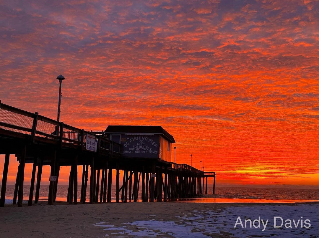 OC Fishing Pier-大洋城必去景点