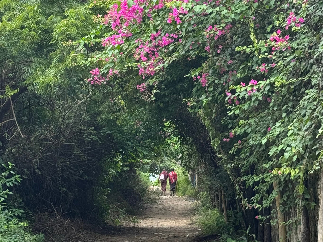 Matemwe Ocean View Villas主图