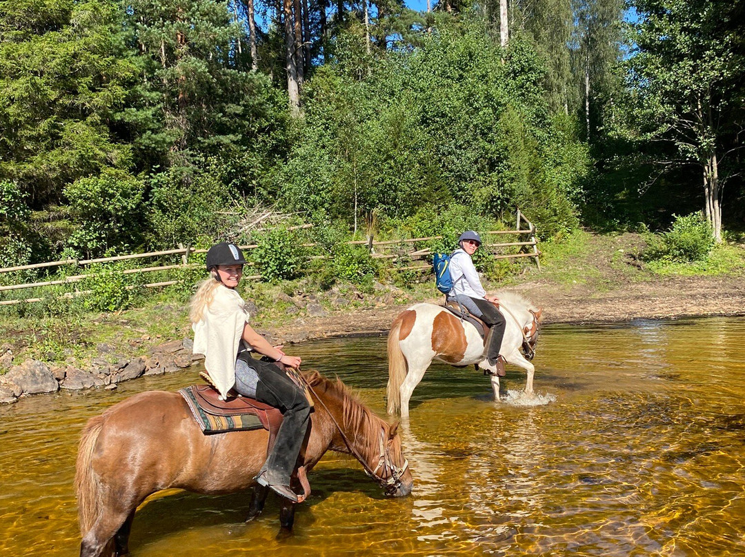Basnes Trail Rides-Aurskog必去景点