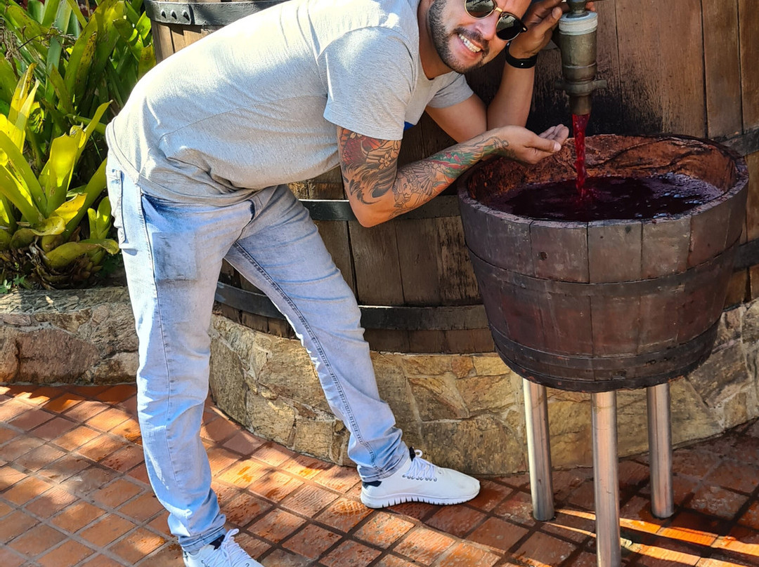 Vinícola Canguera-Sao Roque必去景点