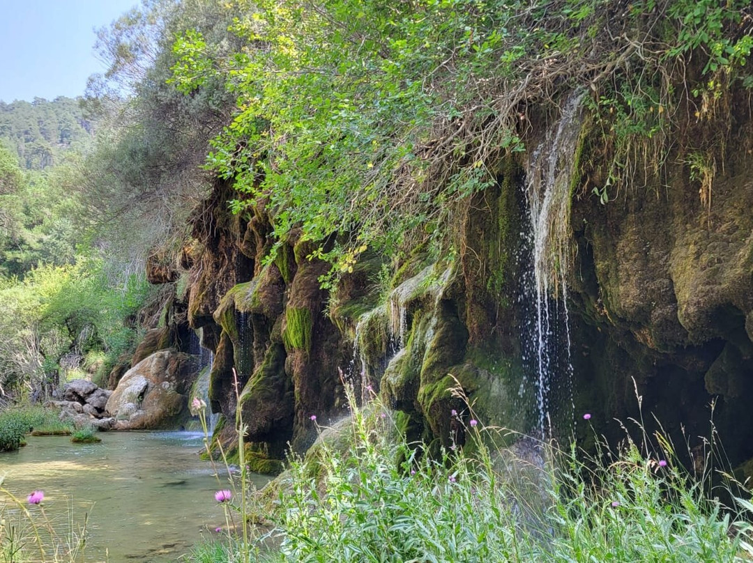 Nacimiento Del Rio Cuervo-Vega del Codorno必去景点