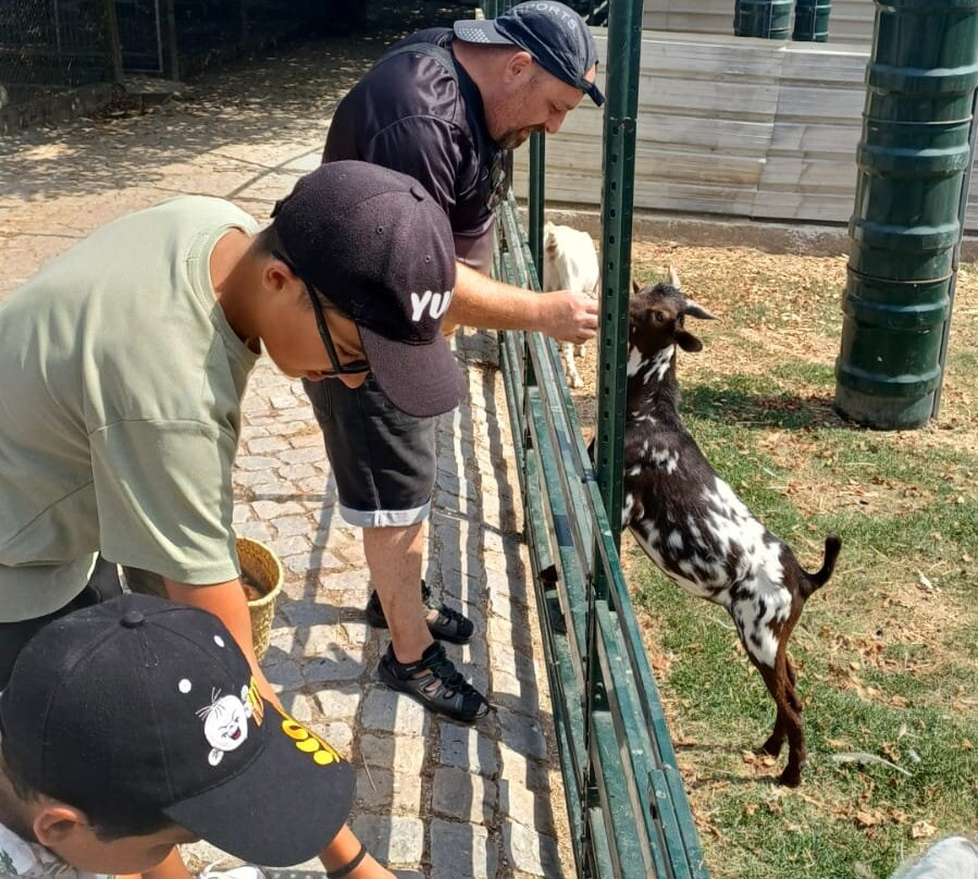 Quinta Pedagógica Quinta das Manas-吉马良斯必去景点