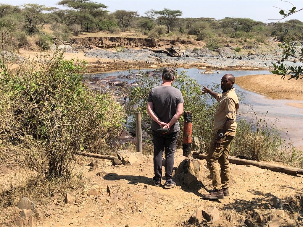 Serengeti Hippo Pool-塞伦盖蒂国家公园必去景点