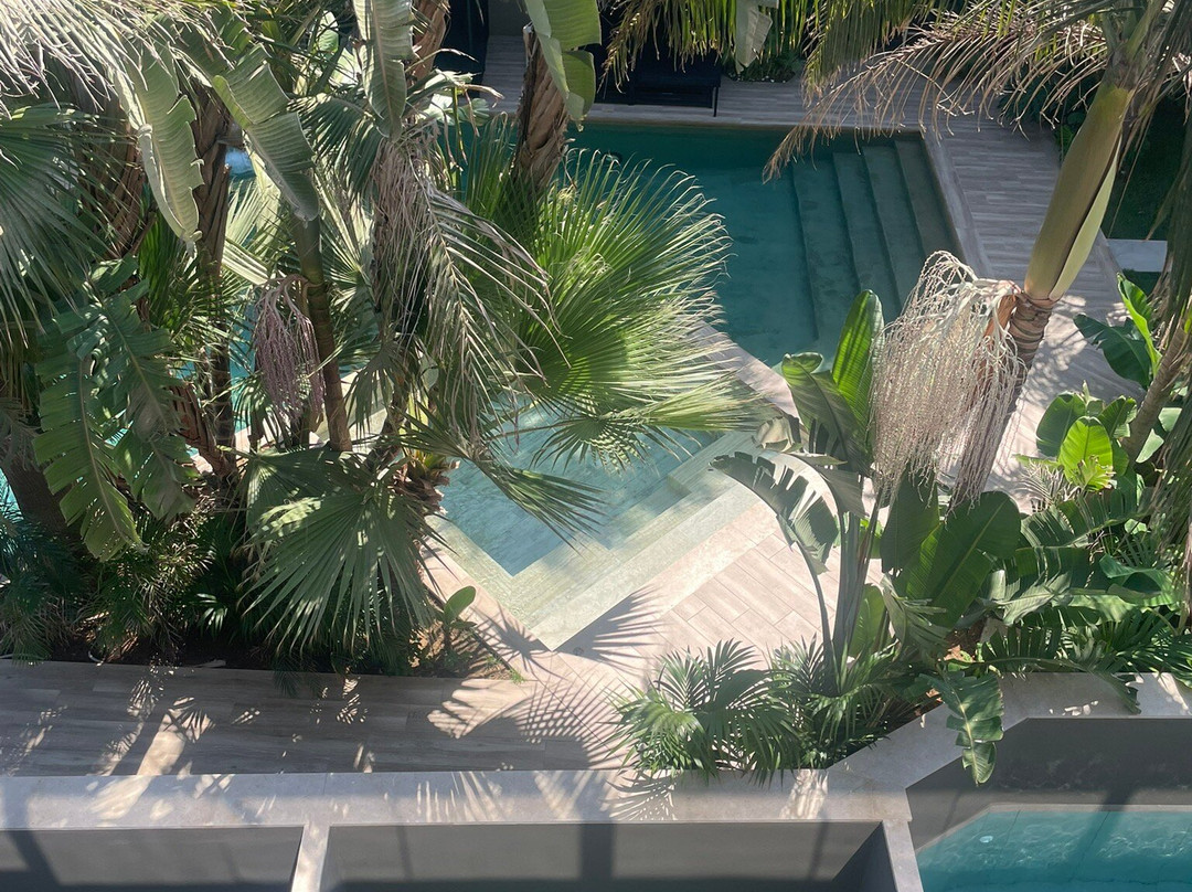 Alsus Boutique Hotel主图